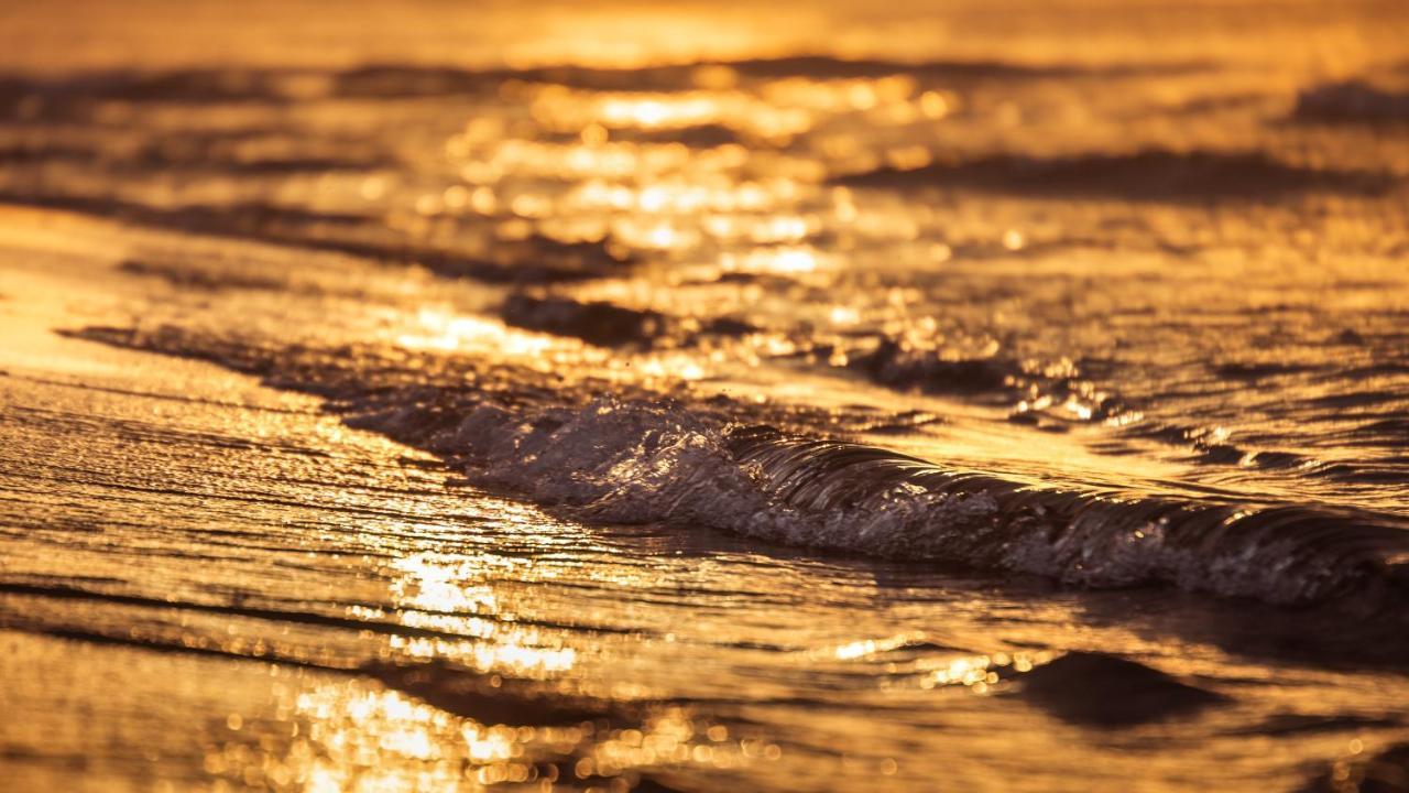 Mieszkanie Sea Waves Lägenhet Gdańsk Exteriör bild